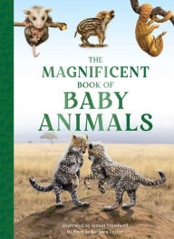 Read full books online free without downloading The Magnificent Book of Baby Animals 9798886740554 in English by Barbara Taylor, Simon Treadwell 