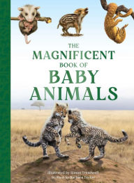 Title: The Magnificent Book of Baby Animals, Author: Barbara Taylor