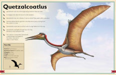 Alternative view 6 of The Magnificent Book of Dinosaurs
