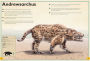 Alternative view 9 of The Magnificent Book of Prehistoric Beasts