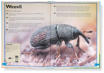 Alternative view 3 of The Magnificent Book of Microscopic Creatures
