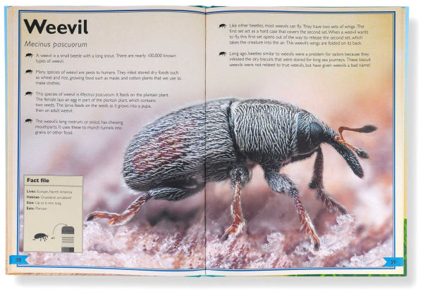 The Magnificent Book of Microscopic Creatures