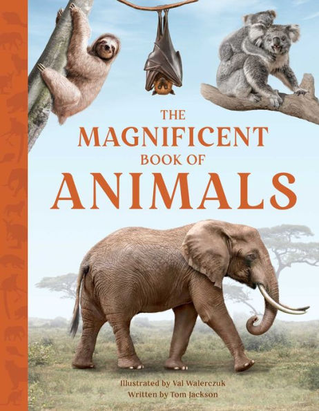 Barnes and Noble The Magnificent Book of Animals