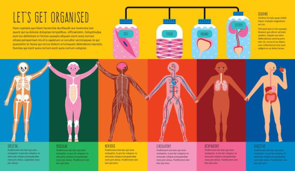 How To Make a Human: Could you build a human body from scratch?