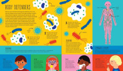 Alternative view 4 of How To Make a Human: Could you build a human body from scratch?