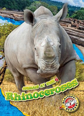 Rhinoceroses