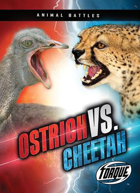 Ostrich vs. Cheetah