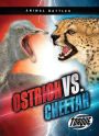 Ostrich vs. Cheetah