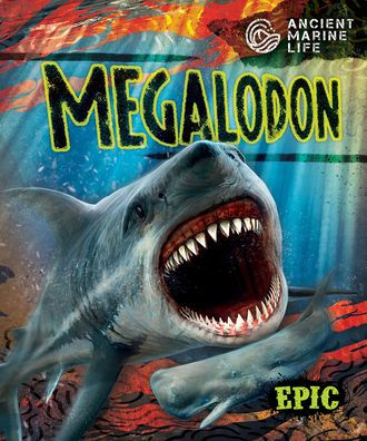 Megalodon