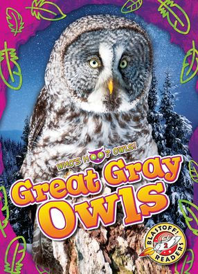 Great Gray Owls