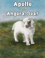 Apollo the Angora Goat