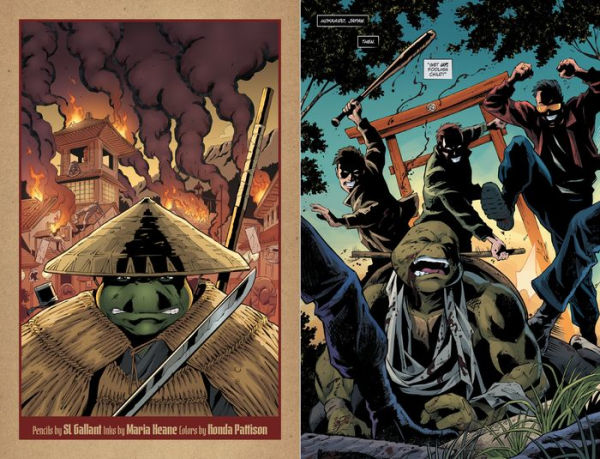 Teenage Mutant Ninja Turtles: The Last Ronin--Lost Years