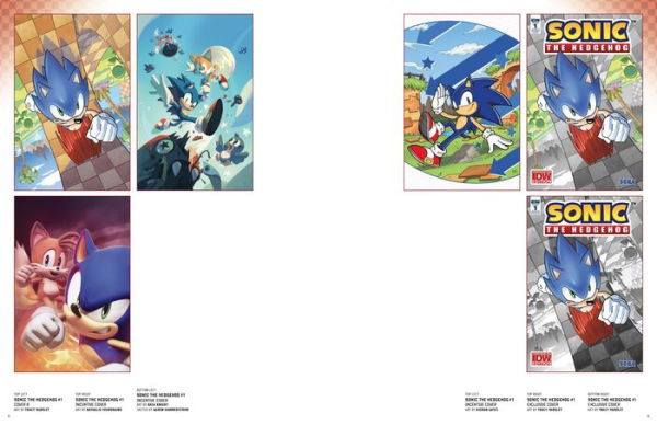 Sonic the Hedgehog: The IDW Comic Art Collection