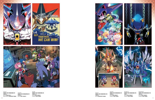 Sonic the Hedgehog: The IDW Comic Art Collection