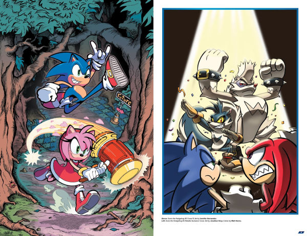 Sonic The Hedgehog: IDW Comic Covers, Vol. 1