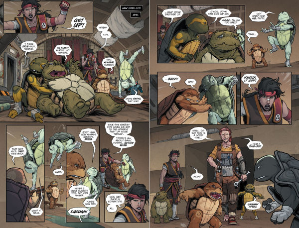 Teenage Mutant Ninja Turtles: The Last Ronin Box Set