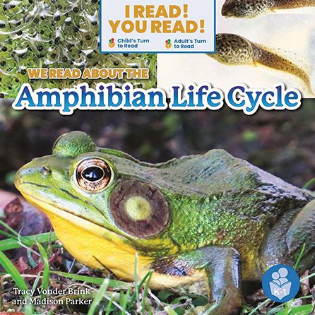 We Read about the Amphibian Life Cycle