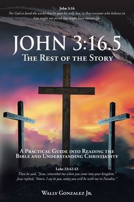 John 3: 16.5: The Rest of the Story: A Practical Guide into Reading the Bible and Understanding Christianity