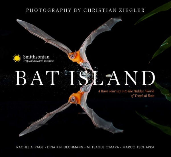 Bat Island: A Rare Journey into the Hidden World of Tropical Bats