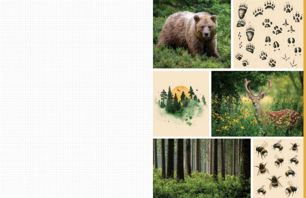 Cut & Collage Woodland Creatures: Extraordinary Images from Within the Forest