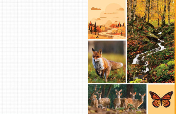 Cut & Collage Woodland Creatures: Extraordinary Images from Within the Forest