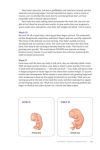 Alternative view 4 of Mayo Clinic Guide to a Healthy Pregnancy, 3rd Edition: Evidence-Based Insight and Real-Life Tips for Expecting Parents, from the World's Leading Medical Experts