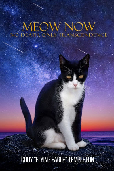 Meow Now: No Death, Only Transcendence