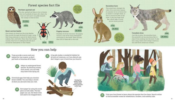 How to Help a Hare and Protect a Polar Bear: 50 simple things YOU can do for our planet!