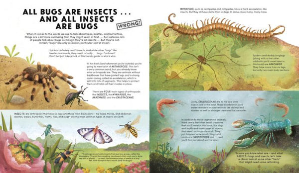 Everything You Know About Bugs (and Other Tiny Creatures) is Wrong!