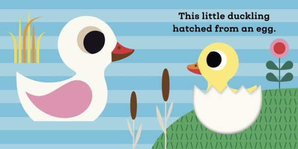 This Little Duckling: A Touch and Feel Book