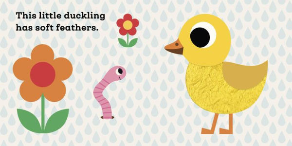 This Little Duckling: A Touch and Feel Book