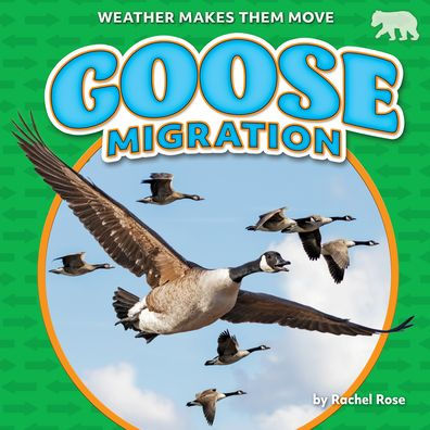 Goose Migration