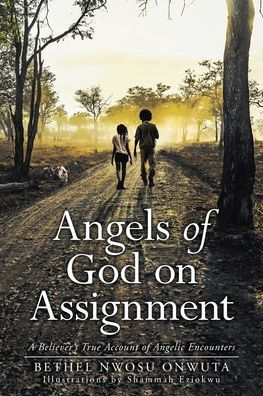 Angels of God on Assignment: A Believer's True Account of Angelic Encounters