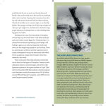 Alternative view 2 of Underwater Museums: What Remains of WWII in the Pacific