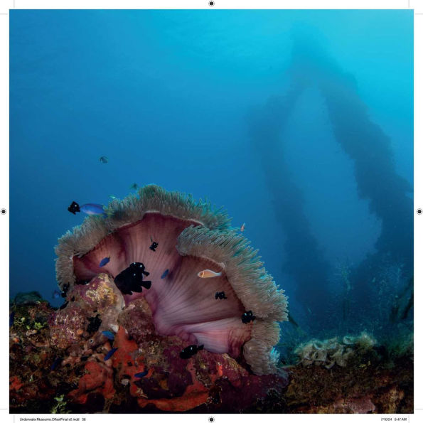 Underwater Museums: What Remains of WWII in the Pacific
