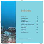 Alternative view 4 of Underwater Museums: What Remains of WWII in the Pacific