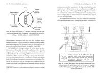 Alternative view 4 of Psychedelics and Mental Health: Neuroscience and the Power of Psychoactives in Therapy
