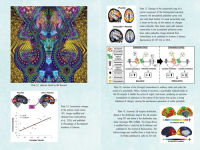 Alternative view 8 of Psychedelics and Mental Health: Neuroscience and the Power of Psychoactives in Therapy