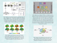Alternative view 10 of Psychedelics and Mental Health: Neuroscience and the Power of Psychoactives in Therapy