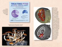 Alternative view 15 of The Psychedelic Reawakening: How Psilocybin, MDMA, Ketamine, LSD, and DMT Are Changing Lives