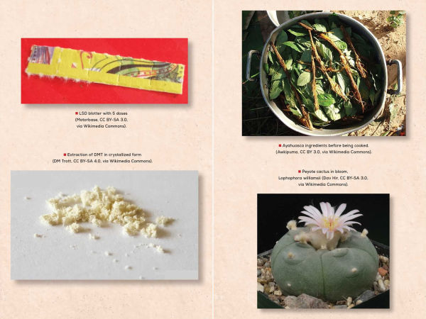 The Psychedelic Reawakening: How Psilocybin, MDMA, Ketamine, LSD, and DMT Are Changing Lives