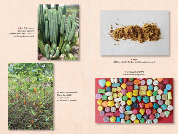 The Psychedelic Reawakening: How Psilocybin, MDMA, Ketamine, LSD, and DMT Are Changing Lives