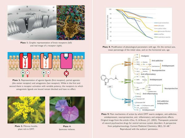 The Neuroscience of Psychedelics: Pharmacology What Makes Us Human