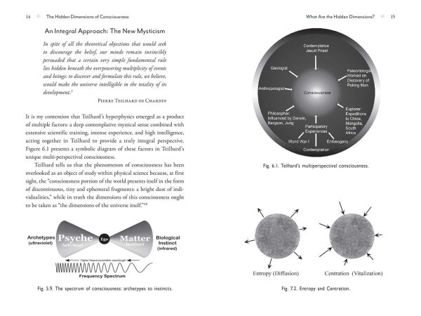 The Metaverse of Consciousness: Mapping the Multiple Dimensions of Reality