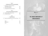 Alternative view 7 of The Metaverse of Consciousness: Mapping the Multiple Dimensions of Reality