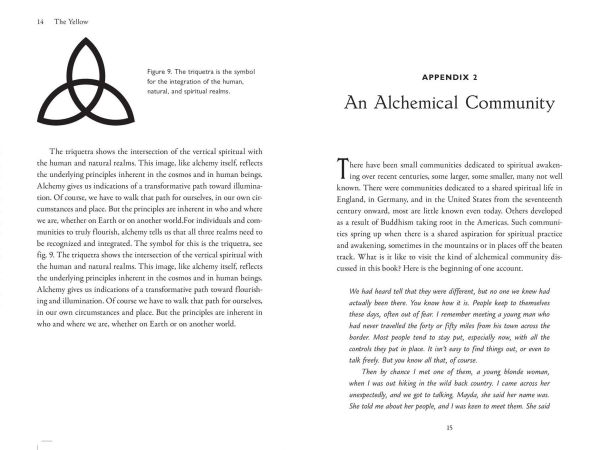 Alchemical Lightwork: A Guide to Creating Cultures of Light and Spiritual Awakening