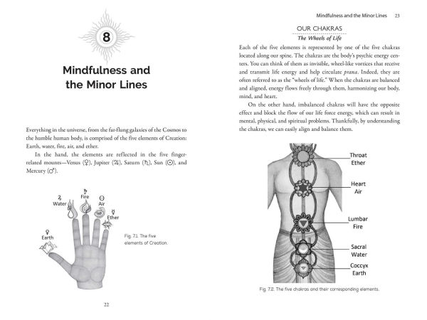 Palmistry for Happiness: The Transformational Power of Vedic Hand Reading