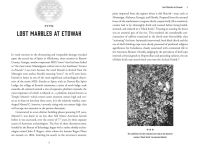 Alternative view 6 of Tripping the Trail of Ghosts: Psychedelics and the Afterlife Journey in Native American Mound Cultures