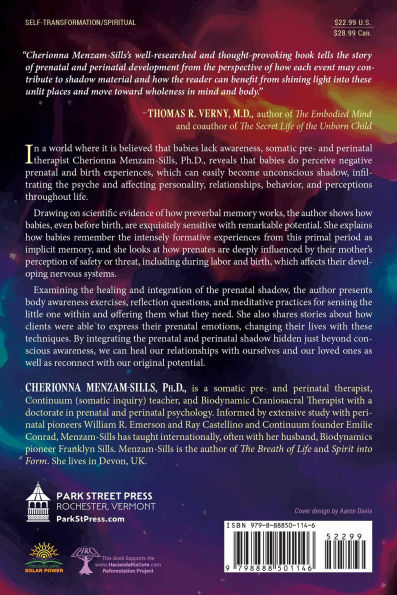 the Prenatal Shadow: Healing Traumas Experienced before and at Birth