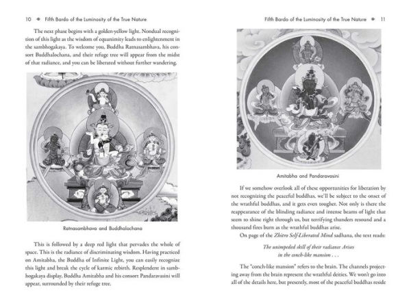 The Six Bardos of the Tibetan Book of the Dead: Dzogchen Teachings on the Peaceful and Wrathful Deities